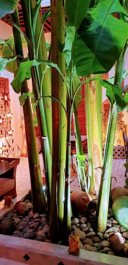 Riad Mehdia Marrakesh Exterior foto